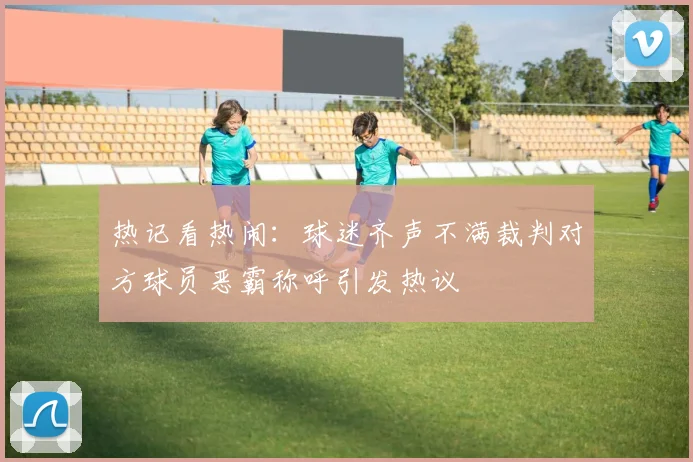热记看热闹：球迷齐声不满裁判对方球员恶霸称呼引发热议